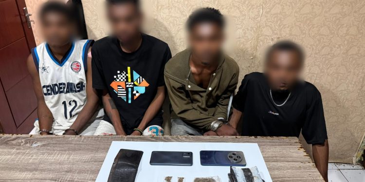 Polresta Manokwari Tangkap 4 Pemuda Pemilik Ganja