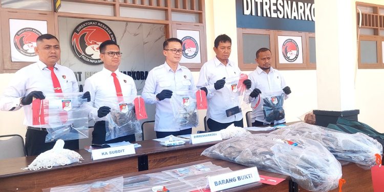 Ditresnarkoba Polda PBD Ungkap Dua Kasus Narkoba, Sita 1,27 Gram Sabu dan 7.968 Gram Ganja