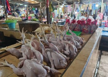 Menjelang Idul Fitri, Stok Daging Diklaim Aman dan Mencukupi