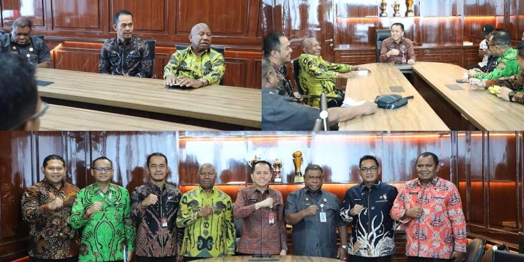 Gubernur Papua Barat Temui Dirjen Bina Keuangan, Fokus Tingkatkan Transparansi Anggaran