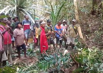 Tegas! Masyarakat Adat Konda Tolak Perkebunan Sawit, Pasang Patok Batas