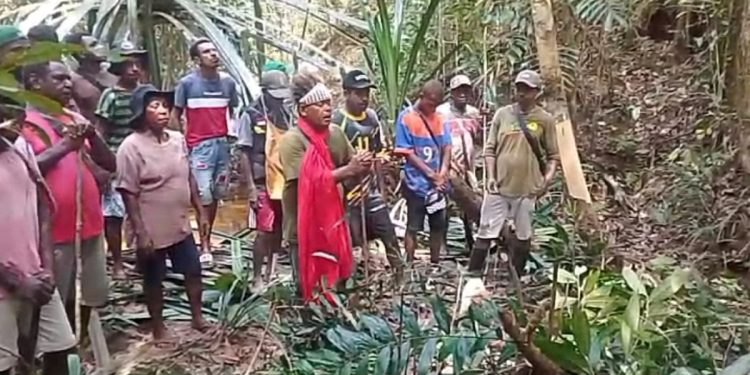 Tegas! Masyarakat Adat Konda Tolak Perkebunan Sawit, Pasang Patok Batas
