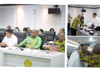 Papua Barat Minta Dukungan Menteri Pertanian Perkuat Sektor Pertanian