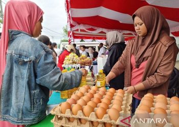 Realisasi KUR di Papua Barat-Papua Barat Daya Capai Rp107,89 Miliar