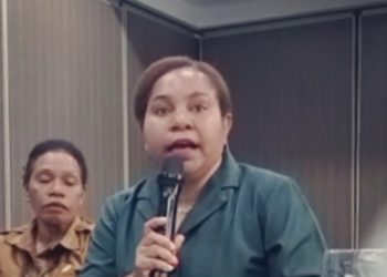 Polemik MRP–DPD RI Mereda, Shely Kareth Minta Maaf