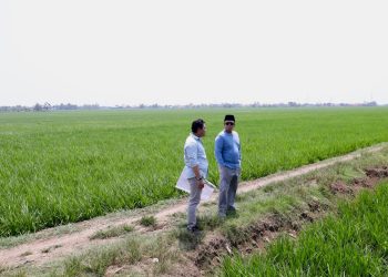 Tinjau Kawasan Industri di Indramayu, Menteri Nusron Pastikan Lahan Tidak Masuk ke LSD