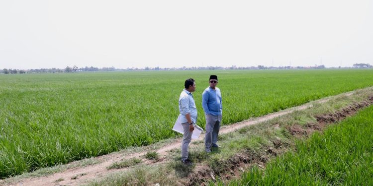 Tinjau Kawasan Industri di Indramayu, Menteri Nusron Pastikan Lahan Tidak Masuk ke LSD