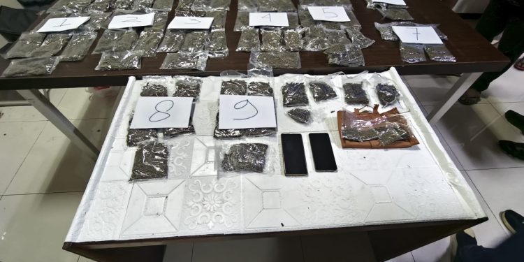 Polda Papua Barat Ungkap Kasus Peredaran Narkotika Jenis Ganja, Tiga Orang Diamankan