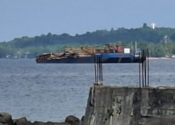 Sempat Picu Spekulasi, Ternyata Ini Asal Usul Ratusan Kayu Log di Perairan Teluk Doreri