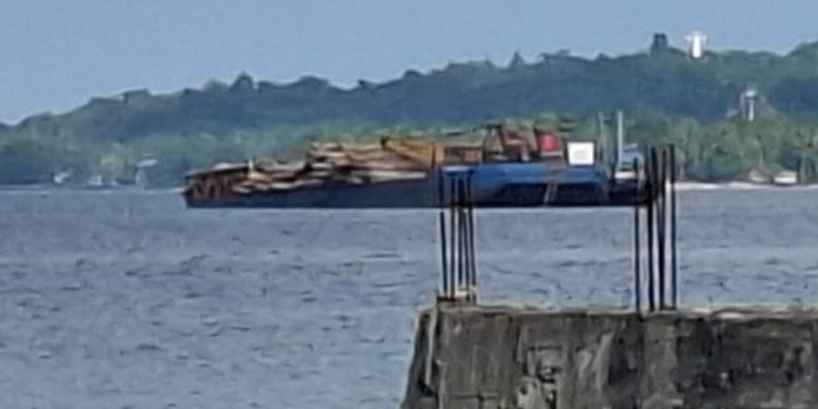 Sempat Picu Spekulasi, Ternyata Ini Asal Usul Ratusan Kayu Log di Perairan Teluk Doreri