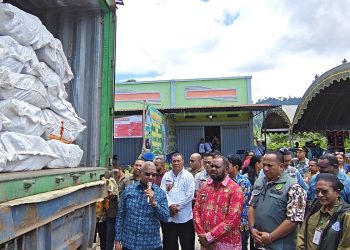 Kolaborasi Pemprov Papua Barat dan Pemkab Mansel Kirim Perdana 1,7 Ton Kulit Masohi ke Surabaya