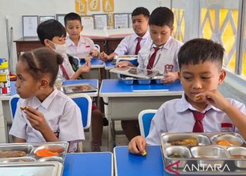 BGN Hentikan Operasional 3 Dapur SPPG di Kaimana