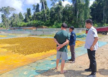 Operasi Yustisi, Dinas PTSP dan KLHK Sidak Perusahaan Akar Kayu Kuning