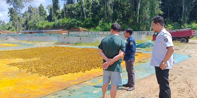 Operasi Yustisi, Dinas PTSP dan KLHK Sidak Perusahaan Akar Kayu Kuning