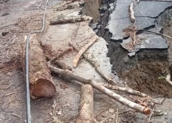 Ketua DPR Desak Perbaikan Cepat Jalan Trans Manokwari-Pegaf