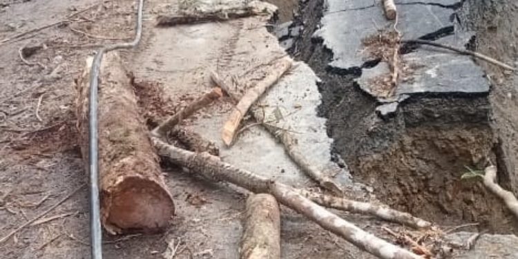 Ketua DPR Desak Perbaikan Cepat Jalan Trans Manokwari-Pegaf