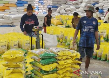 Bulog Siapkan 4.100 Ton Beras Bantuan Pangan bagi Papua