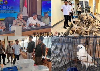 5 Tahun Jadi TO, Residivis Kasus Perdagangan Satwa Kembali Terancam Masuk Bui