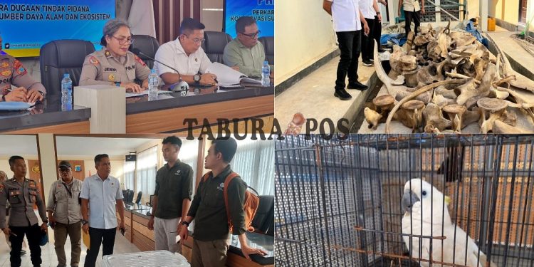 5 Tahun Jadi TO, Residivis Kasus Perdagangan Satwa Kembali Terancam Masuk Bui