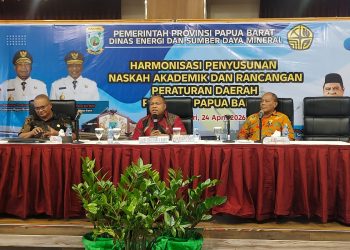 Pembentukan BUMD Kasuari Energi Nusantara Diharapkan Dongkrak PAD dari Sektor Energi