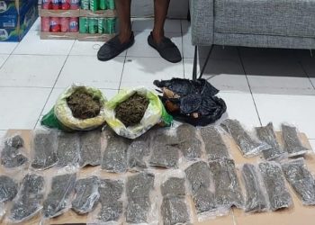 Bawa Ganja 384 Gram, Satnarkoba Polresta Manokwari Amankan R.S di Pelabuhan