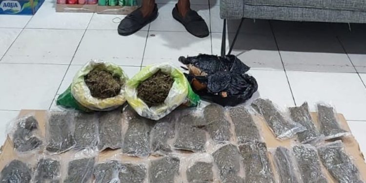 Bawa Ganja 384 Gram, Satnarkoba Polresta Manokwari Amankan R.S di Pelabuhan