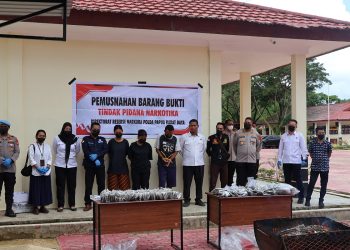 Ditresnarkoba Polda PBD Musnahkan 8,2 Kilogram Ganja