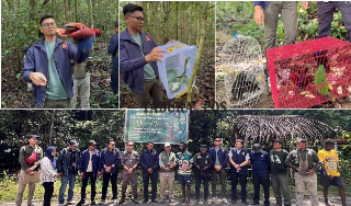 Ditreskrimsus Polda PBD & BKSDA Kembalikan Puluhan Satwa Endemik & Dilindungi di Hutan Makbon