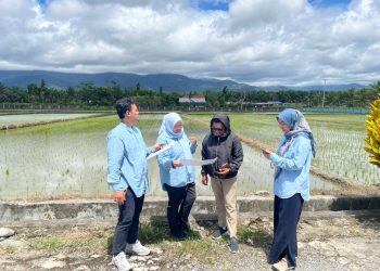 Dukung Ketahanan Pangan, Ditjen Penataan Agararia Bersama BPN Papua Barat Lakukan Verifikasi & Validasi Neraca Penatagunaan Tanah Pertanian Pangan