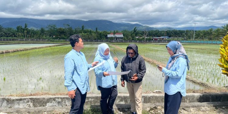Dukung Ketahanan Pangan, Ditjen Penataan Agararia Bersama BPN Papua Barat Lakukan Verifikasi & Validasi Neraca Penatagunaan Tanah Pertanian Pangan