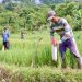 Pasang Patok, Cara Sederhana Cegah Sengketa Tanah dengan Tetangga