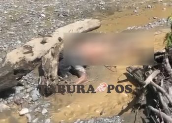 Viral di Medsos Temuan Mayat Diduga Penambang Emas Ilegal di Waserawi