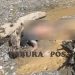Viral di Medsos Temuan Mayat Diduga Penambang Emas Ilegal di Waserawi