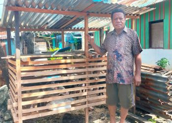 Peternak Babi di Borobudur Harap Perhatian Pemerintah
