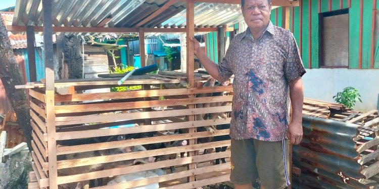 Peternak Babi di Borobudur Harap Perhatian Pemerintah
