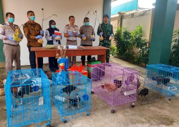 Tak Lengkapi Dokumen Karantina, Sejumlah Produk Hewan danTumbuhan Dimusnahkan BKHIT PBD