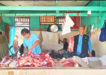 Harga Sapi di SP Mengalami Kenaikan Jelang Idul Adha