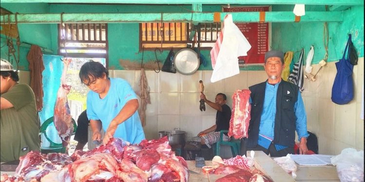 Harga Sapi di SP Mengalami Kenaikan Jelang Idul Adha