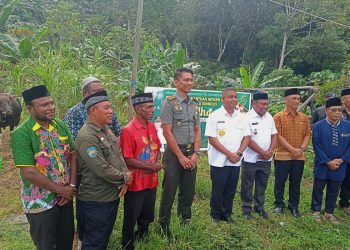 Pemkab Teluk Bintuni Salurkan 65 Ekor Sapi ke 16 Distrik