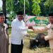 Pemda Manokwari Sumbang 92 Ekor Sapi Kurban untuk Idul Adha 1447 H