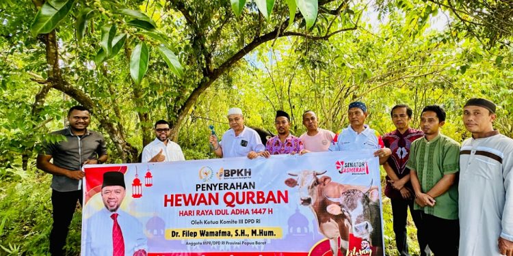 Filep Wamafma Salurkan Bantuan Sapi Kurban BPKH di Mako Brimob dan Blagor Manokwari