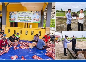 Polres Teluk Bintuni Gelar Sholat Ied Idul Adha dan Penyembelihan Kurban