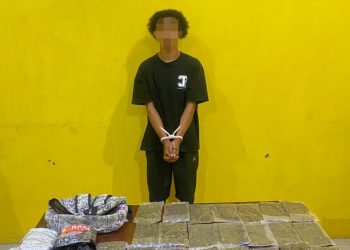 Satresnarkoba Polresta Sorong Gagalkan Penyeludupan Ganja Asal Jayapura