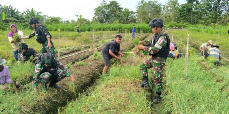 TNI Perkuat Ketahanan Pangan sebagai Pilar Pembangunan Papua