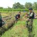 TNI Perkuat Ketahanan Pangan sebagai Pilar Pembangunan Papua