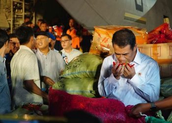 Pemerintah Pastikan Jaga Harga Cabai Petani dan Stabilkan di Konsumen