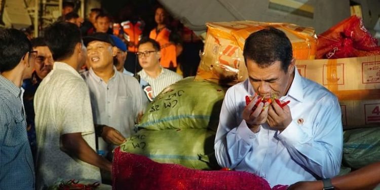 Pemerintah Pastikan Jaga Harga Cabai Petani dan Stabilkan di Konsumen
