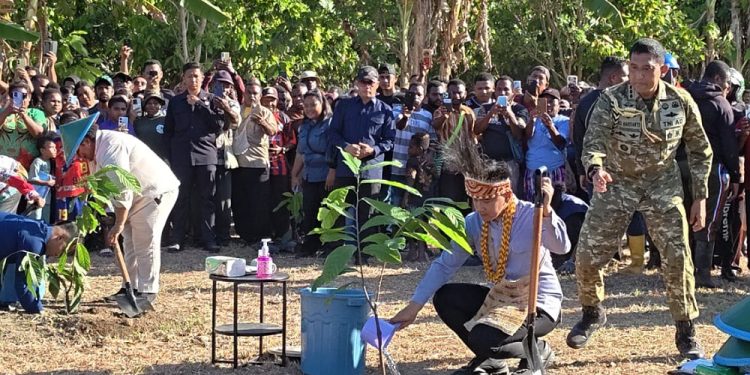 Disambut Antusias Masyarakat, Wapres Gibran Tanam Kakao di Ransiki