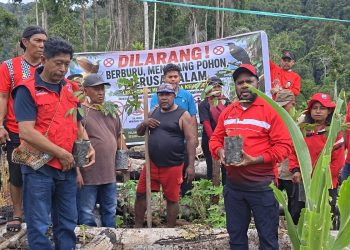 Merawat Pertiwi, DPC PDI Perjuangan Mansel Tanam Ratusan Pohon Buah