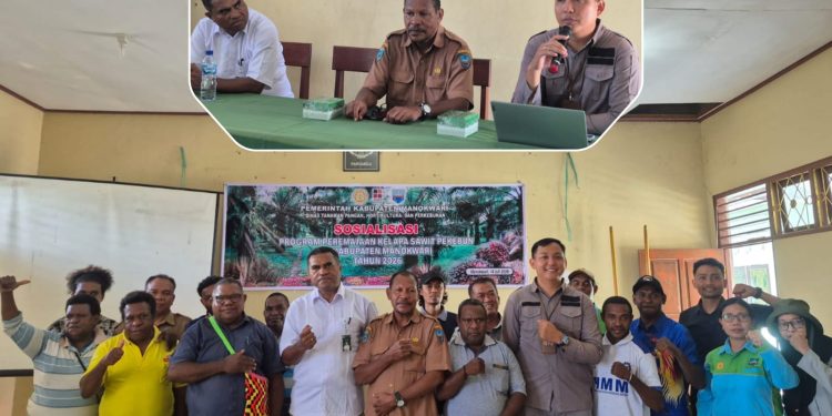 Kantah dan Dinas TPHP Manokwari Sosialisasi Mekanisme Penerbitan SHM dan HGU Dukung Program Peremajaan Kelapa Sawit Perkebunan